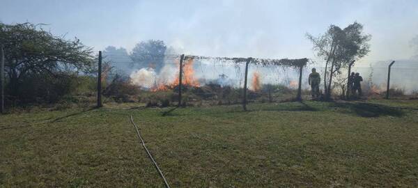 Crónica / Feroz incendio forestal detrás de Albiroga en Ypané