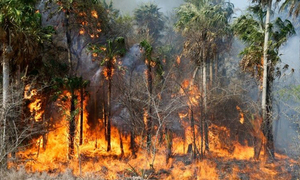 Ypané: Incendio en sede del complejo deportivo de la APF - OviedoPress