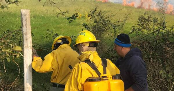 La Nación / Incendio forestal en la zona de la Asociación Paraguaya de Fútbol