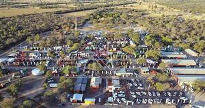 La Nación / Ganadera Las Pampas se destaca con una Gran Campeona Braford