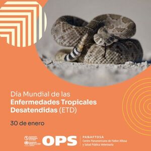 Sepa qué hacer si fue mordido o picado por un animal ponzoñoso | 1000 Noticias