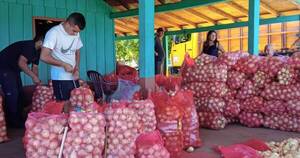 La Nación / Denuncian monopolio de unos pocos importadores de cebolla que condicionan precios