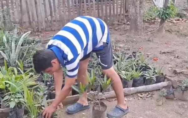 Joven de 19 años vende plantines para pagar su estudio de jardinería – Prensa 5