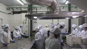 Implementación de tecnología y calidad, las claves para alimentar a los protagonistas del futuro del Paraguay | Empresas | 5Días