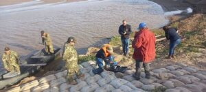 Bolivia descarta contaminación del Pilcomayo por “residuos” de minera - Mundo - ABC Color