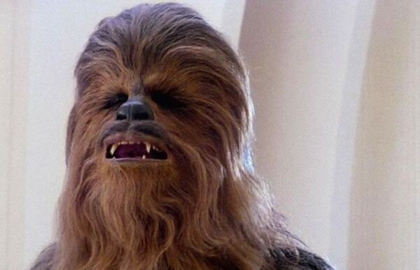 Migrantes camuflados a lo “Chewbacca” son descubiertos en Nuevo México - Mundo - ABC Color