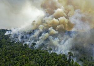 Colombia propone crear flota aérea para combatir incendios de selva amazónica - Mundo - ABC Color
