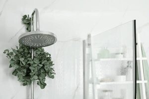 Baño de eucalipto: por qué colgar las ramas en la ducha