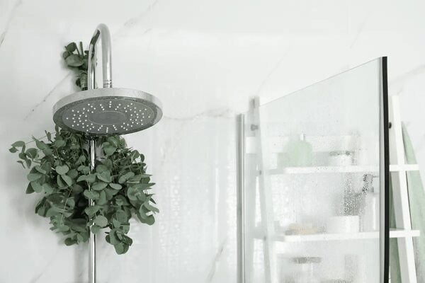Baño de eucalipto: por qué colgar las ramas en la ducha