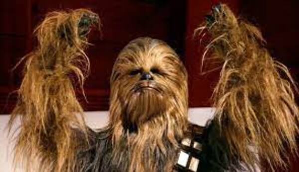 Diario HOY | Migrantes quisieron ingresar a Estados Unidos disfrazados de "Chewbacca"