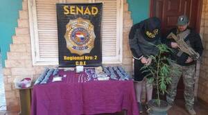 Crónica / En Ciudad del Este allanaron un “supermercado” de drogas