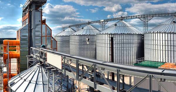 La Nación / Agroindustria retrasa planes de procesamiento para mejorar la calidad de los granos