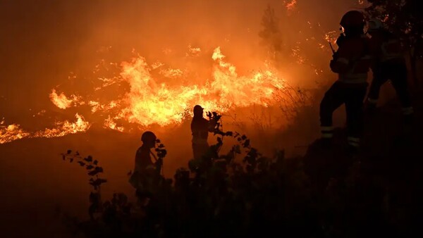 El fuego calcinó este verano el 25% de la mayor área protegida de Portugal - El Independiente