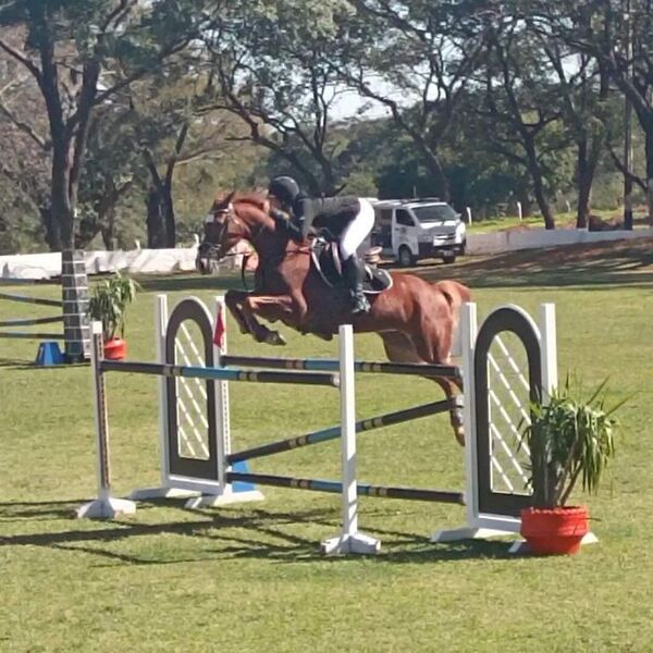 Hipismo: Belén Giménez se luce en 1,30 - Polideportivo - ABC Color