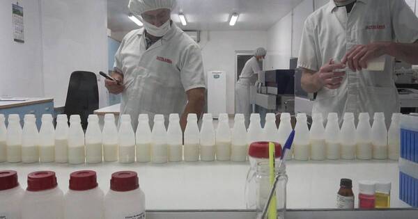 La Nación / Escaso consumo local de lácteos obliga al sector a buscar nuevos mercados