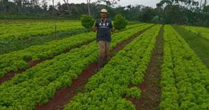 La Nación / Agricultores registran buenas cosechas de verdeos