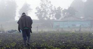 La Nación / Capeco advierte bruscos cambios climáticos y lluvias insuficientes