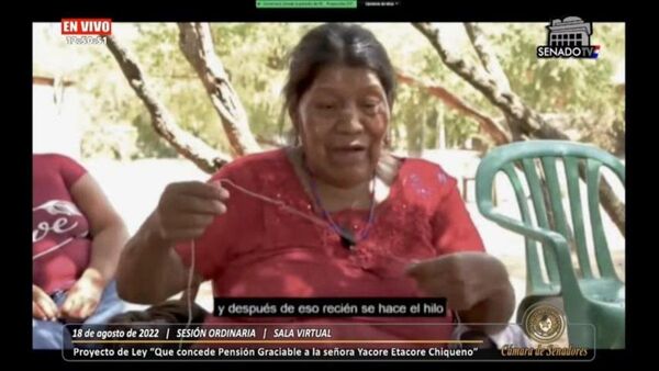 Senadores aprobaron pensión graciable para una mujer indígena