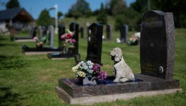 La inflación plantea dilemas a los británicos amantes de las mascotas | Internacionales | 5Días
