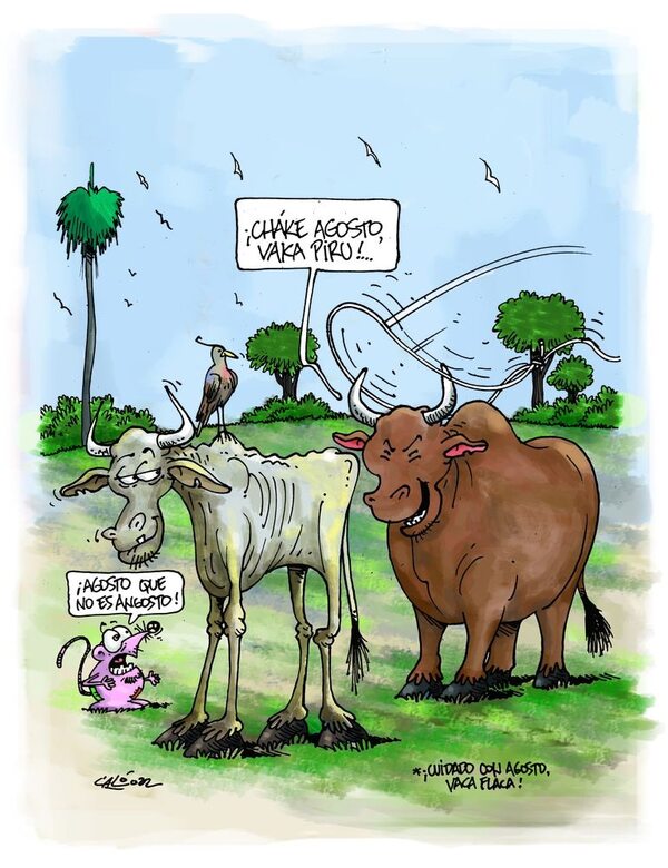 Caló rembiapo - ABC Revista - ABC Color