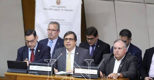 La Nación / Pedro Halley asegura que Diputados no dará el voto de censura a Vicente Bataglia