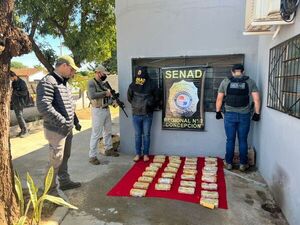 Hombre cayó con 30 kilos de cocaína en Concepción y fue aprehendido por la Senad