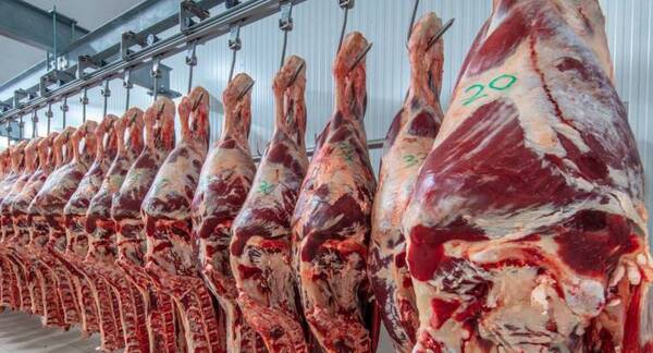 Exportaciones de carne bovina crecieron 8% a julio