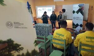 INFONA: continúa cursos de capacitación internacional en el marco del proyecto de cooperación y asistencia técnica en protección contra incendios forestales de Chile a Paraguay