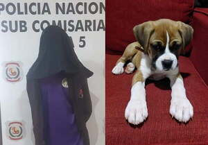 Detienen a un hombre por robar un perro en Presidente Franco - Noticiero Paraguay
