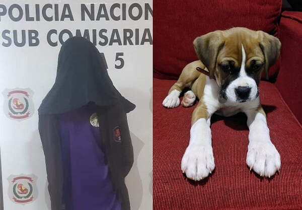 Detienen a un hombre por robar un perro en Presidente Franco - Noticiero Paraguay