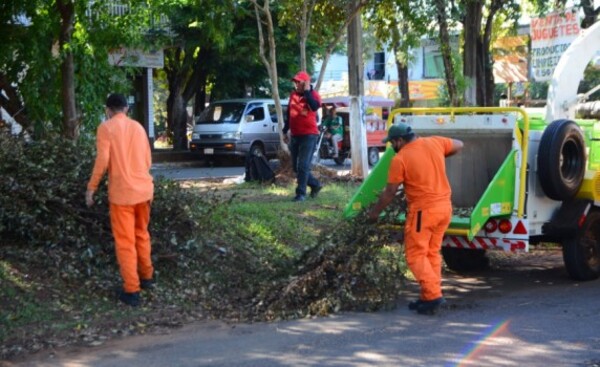 Enseñarán a estudiantes cómo producir abono orgánico