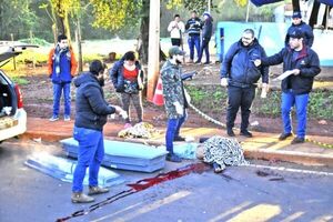 Motociclista muere en el acto tras choque frontal con un automóvil