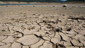 UE está gravemente afectada por la peor sequía en 500 años