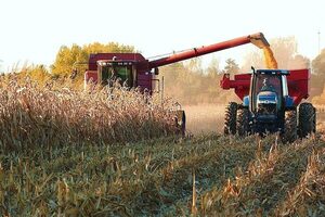 Baja en el precio de fertilizantes podría beneficiar recién a la zafriña, sostienen