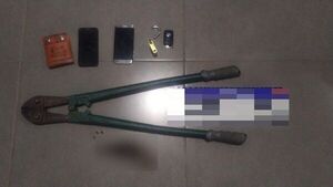 Violaron prisión domiciliaria y fueron sorprendidos por intento de hurto