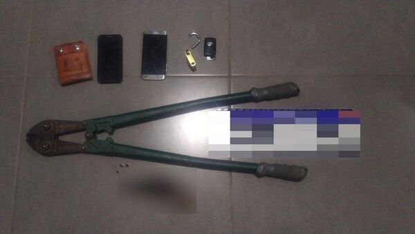 Violaron prisión domiciliaria y fueron sorprendidos por intento de hurto