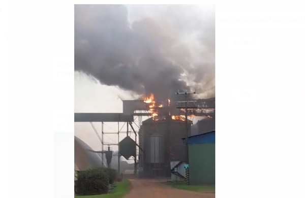 Controlan incendio que afectó a cooperativa en San Cristóbal | 1000 Noticias