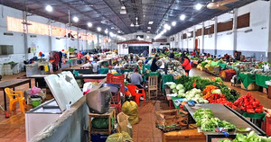 Hortigranjeros de Alto Paraná están hartos de las promesas incumplidas - La Clave