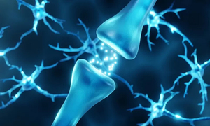 Beneficios del 'ayuno de dopamina' y qué pasa en tu cerebro cuando te abstienes del exceso de placer - OviedoPress