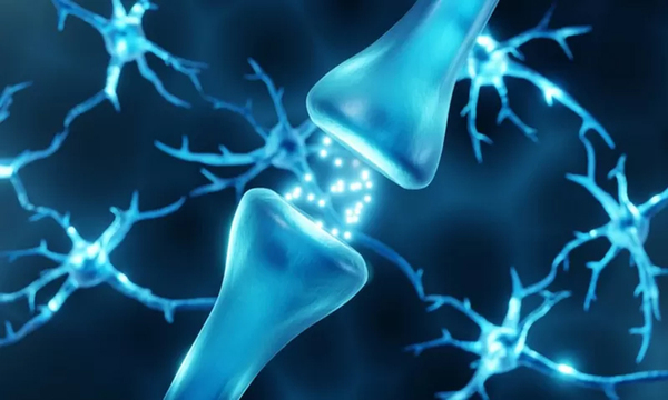 Beneficios del 'ayuno de dopamina' y qué pasa en tu cerebro cuando te abstienes del exceso de placer - OviedoPress
