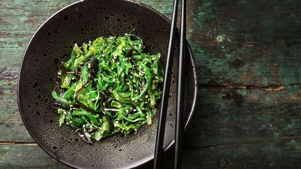 Algas kelp: una fuente considerable de nutrientes