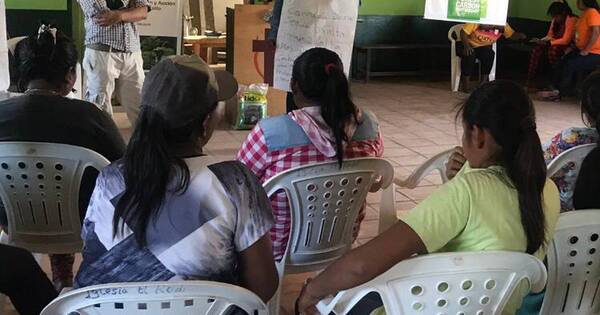 La Nación / Mujeres indígenas trabajan en conservación de bosques de manera sostenible