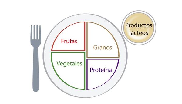 Plato saludable - Escolar - ABC Color