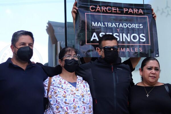 Condenan a diez años de cárcel a un asesino de perros en el centro de México - Mundo - ABC Color
