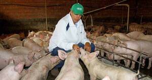 La Nación / Senacsa iniciará muestreo con miras a la recertificación como país libre de peste porcina