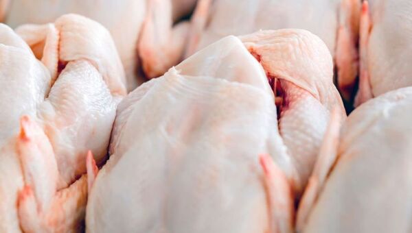 Listo el pollo: exportación avícola alcanza su mejor nivel en siete años (la tonelada cuesta US$ 1.809)