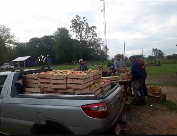 Precios de tomate y cebolla se duplican en dos meses