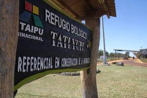 Diario HOY | Sentencian a brasileño por caza ilegal durante la cuarentena sanitaria
