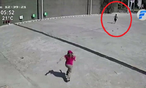 Cajera atrapa a delincuente: "Corrí sin pensar dos veces"