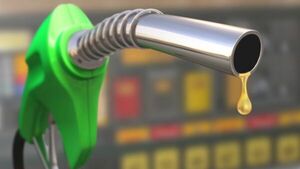 Los Combustibles & La Caverna de Platón | Columnas | 5Días